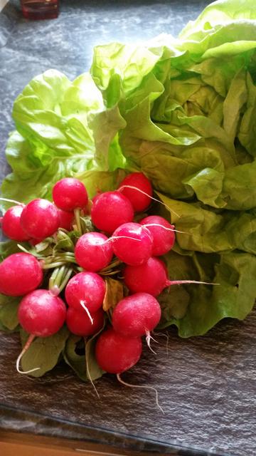 Der Salat war da ....
Der junge Mann nicht.
Grins.