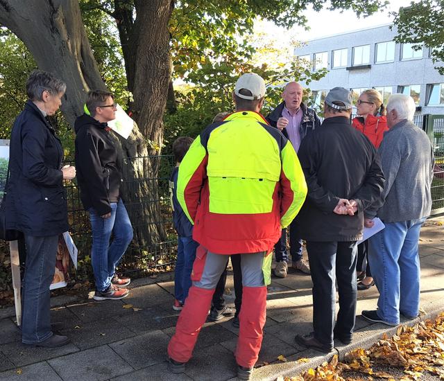 Beim Ortstermin mit dem städtischen Baumsachverständigen Arne Thun wurde sachlich diskutiert.
Foto: Henschke