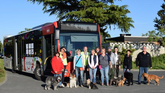 Regelmäßig bietet die VKU Schulungen für Herrchen und Hund zum Busfahren an. Foto: VKU