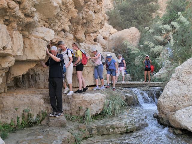 Eindrucksvoll der Wadi David im En Gedi Naturreservat mit seinen Wasserläufen.
Foto: privat