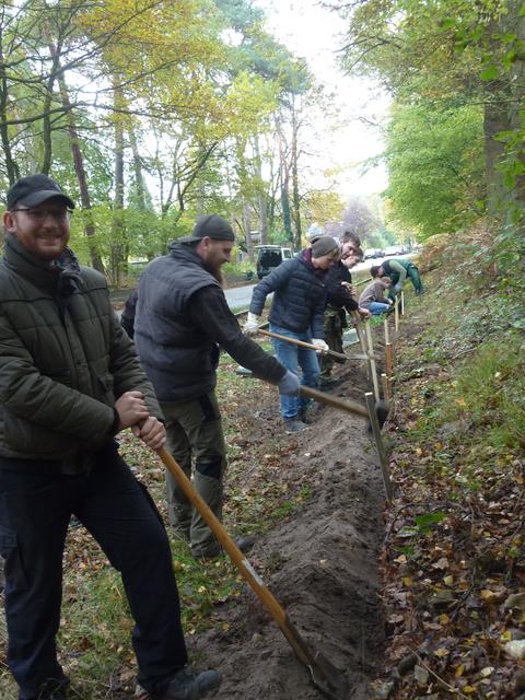 NAJU in Aktion: Austausch des alten Amphibienschutzzaunes an der RWE-Straße in Wesel