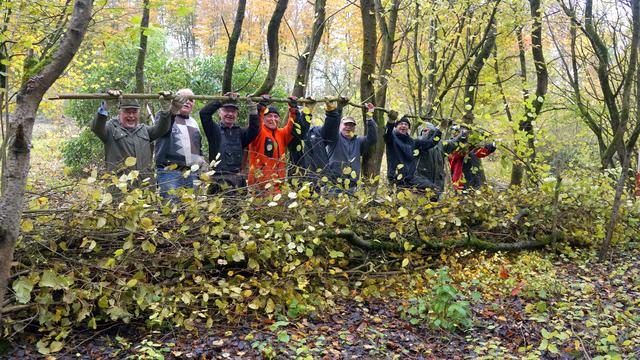 Beim Erstellen der Totholzhecke wird die gute Laune der SGVer sichtbar. | Foto: Foto: Klaus Peters