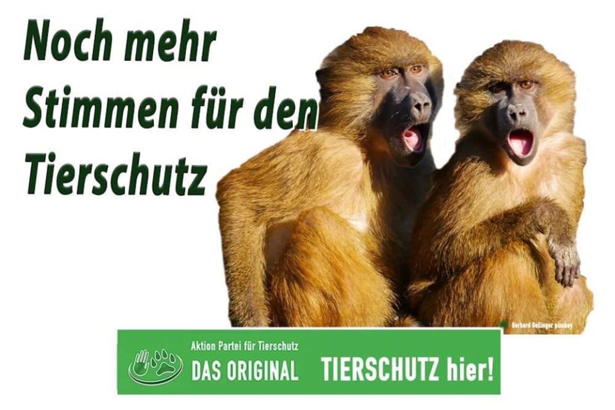 Mehr Stimmen für den Tierschutz in Thüringen Ansporn für Düsseldorf