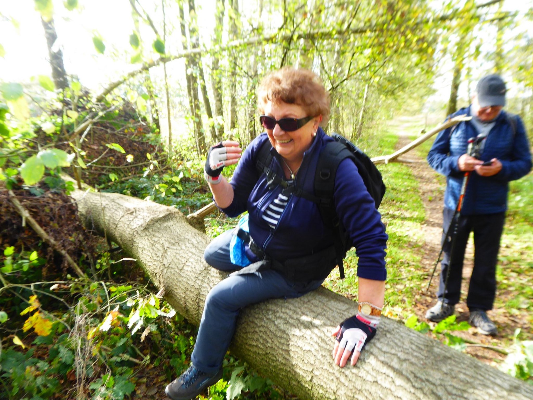 SGV-Arnsberg: Heidschnucken- und Königinnenweg in der Lüneburger Heide - Arnsberg - Lokalkompass.de