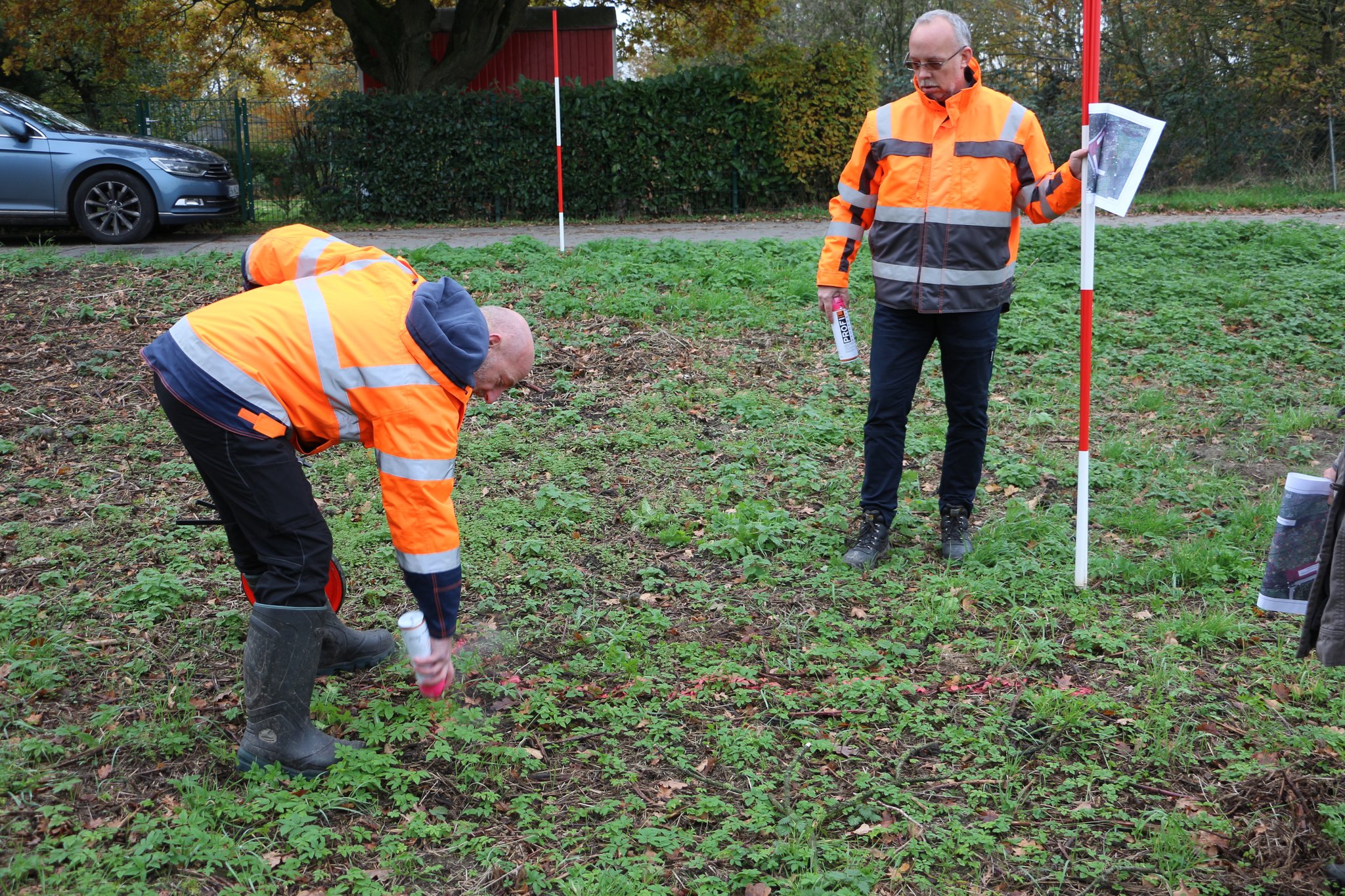 Baumchallenge geht weiter: Pflanzfeld in Wolfhagen ist vollständig mit Baumspenden gefüllt - Lokalkompass.de