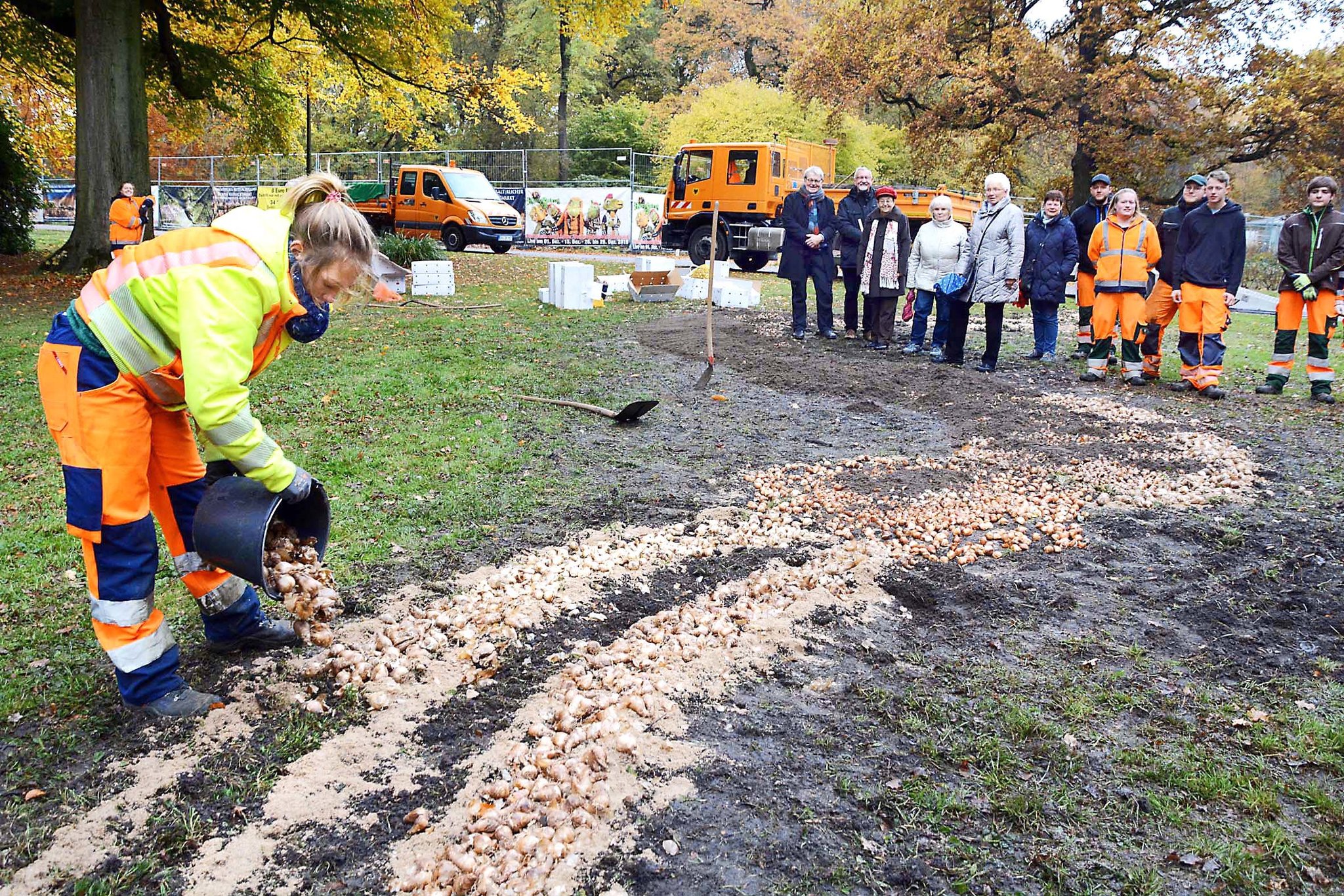 Vereinsspende des Freundeskreises: 10.000 Frühlingsblumenzwiebeln für den Fredenbaumpark gesetzt - Lokalkompass.de