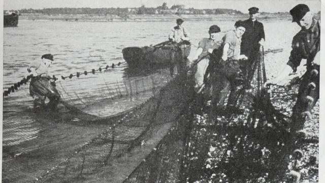 In erster Linie war der Fischfang am Niederrhein harte Arbeit. Das Foto gibt einen Eindruck davon.