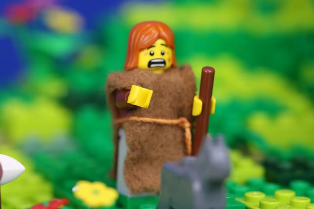 Ein Hirte auf dem Feld. | Foto: Markus Ende