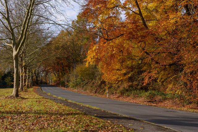 Hier müssen wir auch mal eine Straße überqueren.