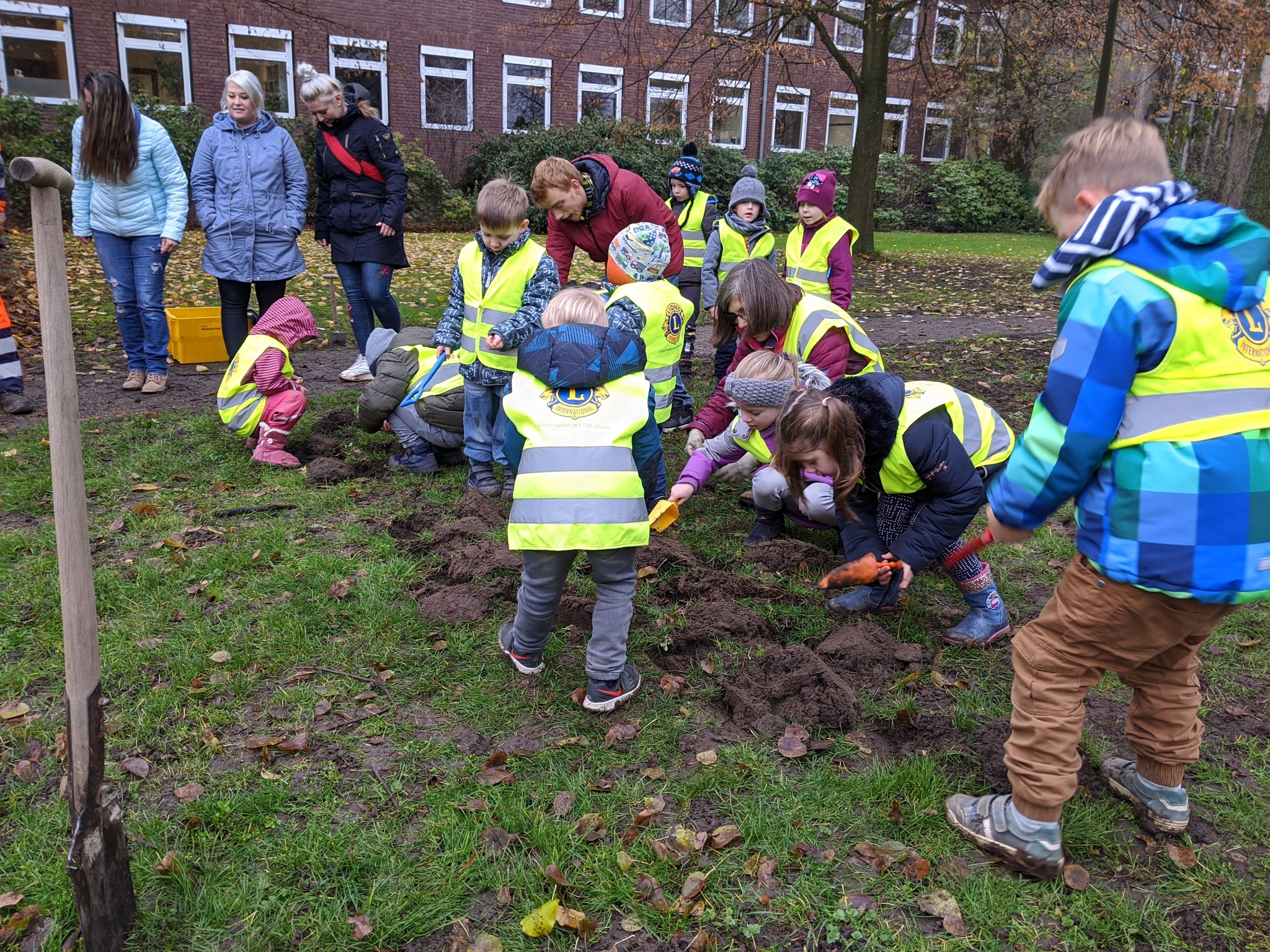 Kindergartenkinder pflanzen Krokusse: Frühlingsblüher für Neukirchen