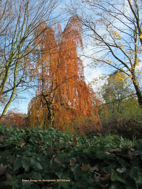 immer wieder schön... raus der Innenstadt, rein in die GRUGA´