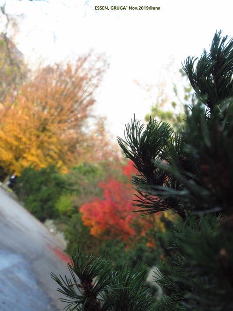 SCHRÄG´+BUNT aus Essen :-))))