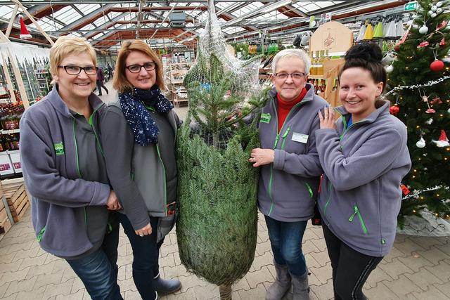 Blumen Risse an der Bergstraße stellt den Baum für die Aktion zur Verfügung.