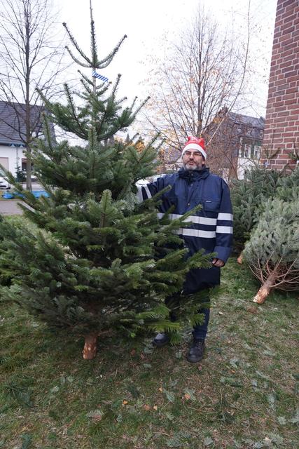 Von den Freunden und Förderern der Pfadfinder können frisch geschlagene Weihnachtsbäume erworben werden.