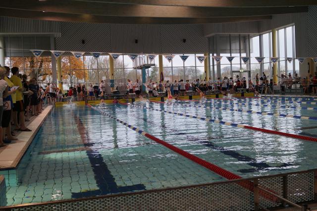 Der SV Neptun Neheim-Hüsten richtete auch in diesem Jahr sein Schwimmfest im NASS in Hüsten aus.