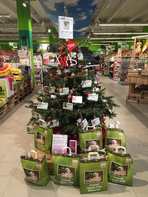 Hier kann man einem pelzigen Vierbeiner einen Wunsch erfüllen.