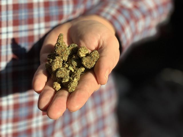Für ihn hat Cannabis eine medizinische Wirkung. Doch anbauen darf er es selbst nicht.