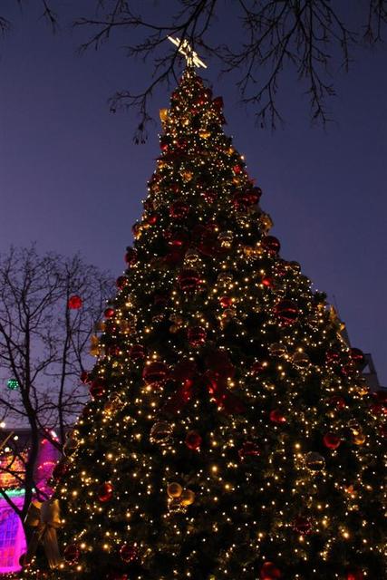 Bildergalerie des Hagener Weihnachtsmarktes 2019. | Foto: Patrick Jost