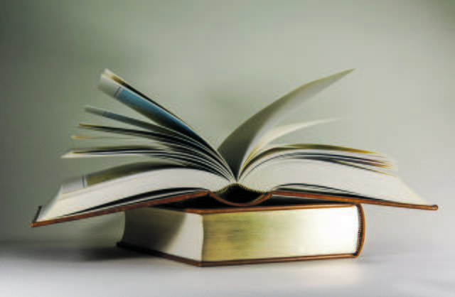 Die Stadtbibliothek feiert ihr einjähriges Bestehen.