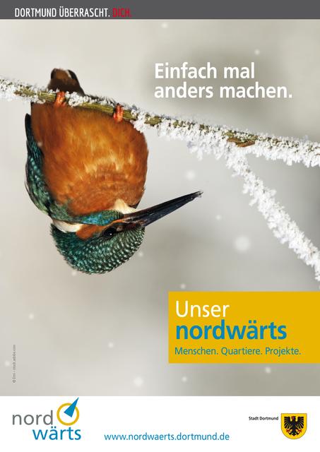 Mit Eisvogel "Nordbert" und dem Vorhaben "Einfach mal anders machen" startet das Projekt "nordwärts" im nächsten Jahr in die zweite Halbzeit, um den Norden der Stadt noch lebenswerter zu machen.