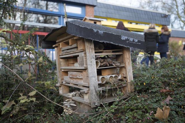 Das Insektenhotel wurde auch von den Kindern gebaut. Hier haben bereits viele Tiere ein Zuhause gefunden