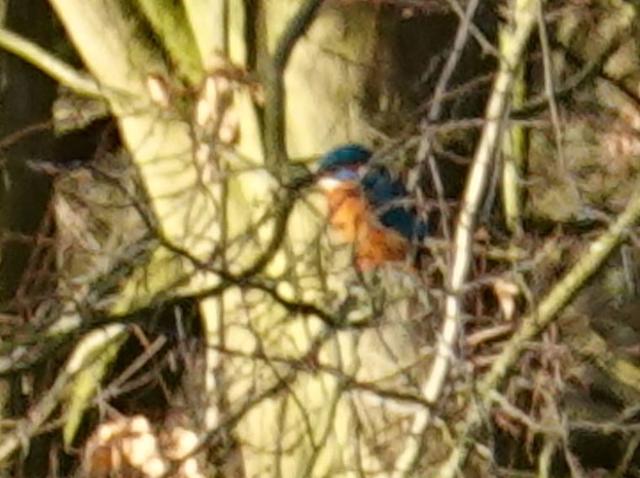 Warte Bürschchen! Beim nächsten Besuch nimm dir bitte etwas mehr Zeit und lass  dich vernünftig fotografieren.