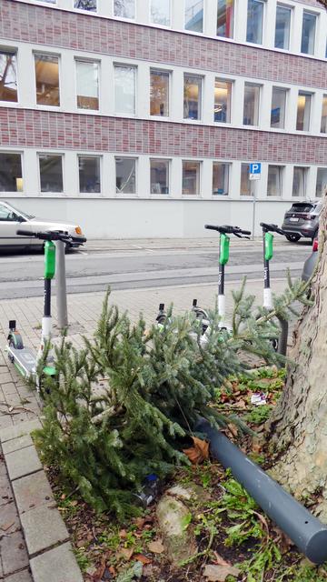 Auch im Rosental wurden schon Weihnachtsbäume an die Straße gestellt.