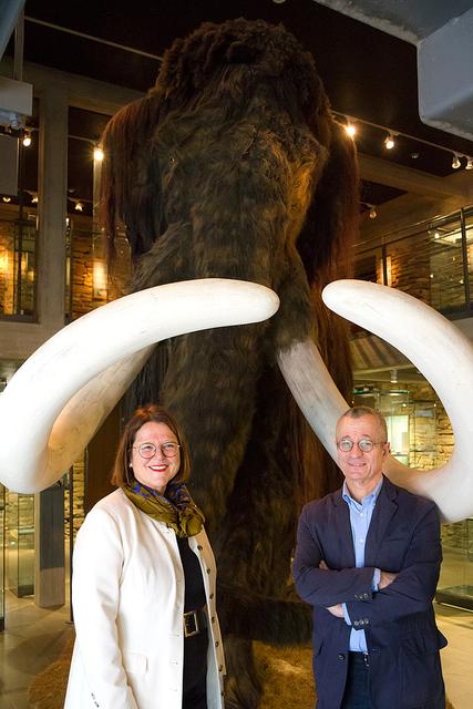 Mai 2019:
Das Museum für Ur- und Frühgeschichte wird nach umfangreichen Umbauarbeiten wieder eröffnet. Die Kosten der Verschönerungskur belaufen sich auf rund 61.000 Euro. 
 | Foto: Archiv