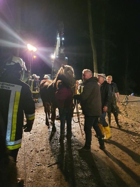 Wieder festen Boden unter den Hufen