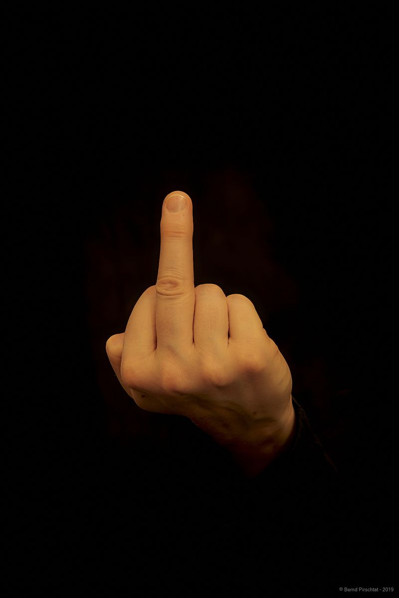 Der Stinkefinger von Stefano Monte Effen (Anmerk. der Redaktion: Stefan Effenberg, 1994)  | Foto: Bernd Pirschtat