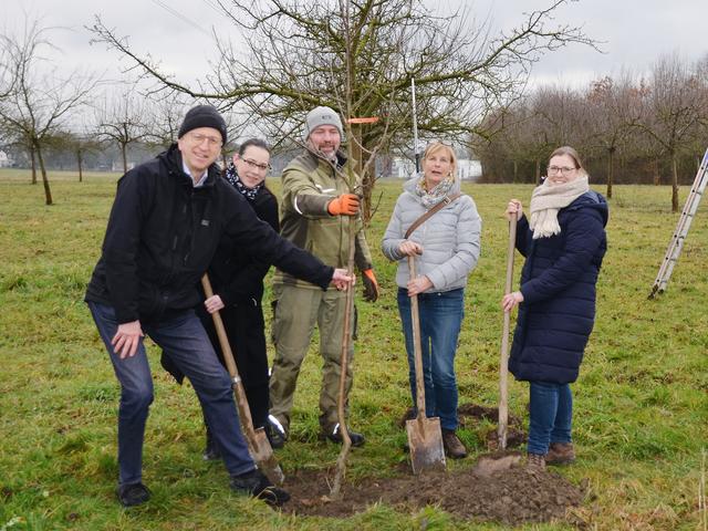 Einen Apfelbaum der alten Sorten "Riesenboiken" und "Westfälischer Gülderling" pflanzten jetzt auf der Streuobstwiese an der Karmschen Heide in Kirchderne (v.r.n.l.) Sonja Terme und Gesa Köster vom Umweltamt, BUND-Obstgehölzpfleger Jochen Helle, Anne Henter als Baumsponsor-Vertreterin, sowie BUND-Sprecher Thomas Quittek.