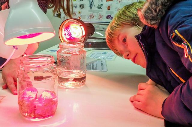 Beim MINT-Nachmittag im Gymnasium Essen-Werden. 
Foto: Gohl
