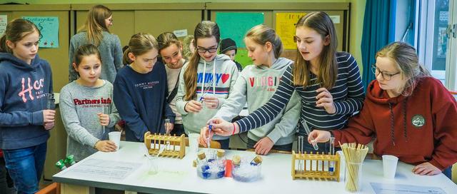 Beim MINT-Nachmittag im Gymnasium Essen-Werden. 
Foto: Gohl
