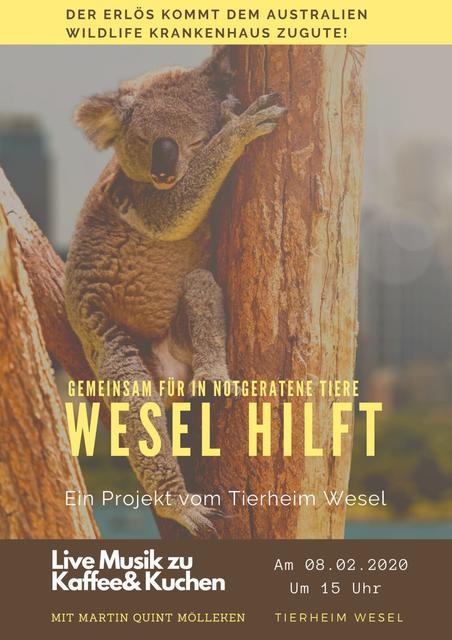 Mit diesem Plakat werben die Freundeskreismitglieder des Tierheimes Wesel für ihre Herzensangelegenheit und laden hiermit am Samstag, 8. Februar, 15 Uhr zum ersten „Pfötchenkaffee“ auf dem Tierheimgelände in Wesel ein.
