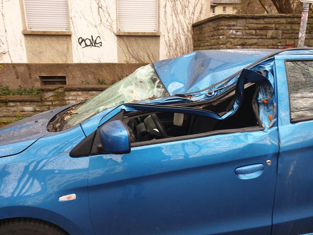 Der Baum raste von der anderen Straßenseite auf das Fahrzeug.