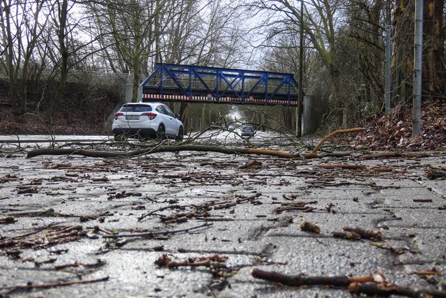 Wie hier auf der Ostpreußenstraße sind an vielen Stellen in Gelsenkirchen Bäume und Sträucher zu bruch gegangen und die Warnung des Wetterdienstes lässt weitere Sturmschäden befürchten. Foto: Gerd Kaemper