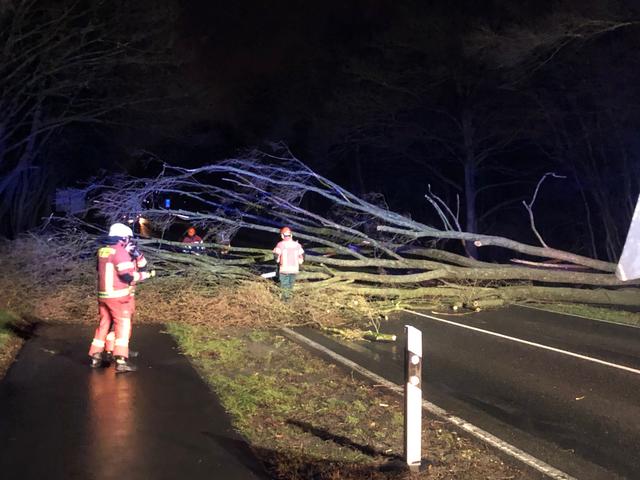 Ein größerer Baum blockierte die Asbrucher Straße. Die Arbeiten dauerten bis Mitternacht an.