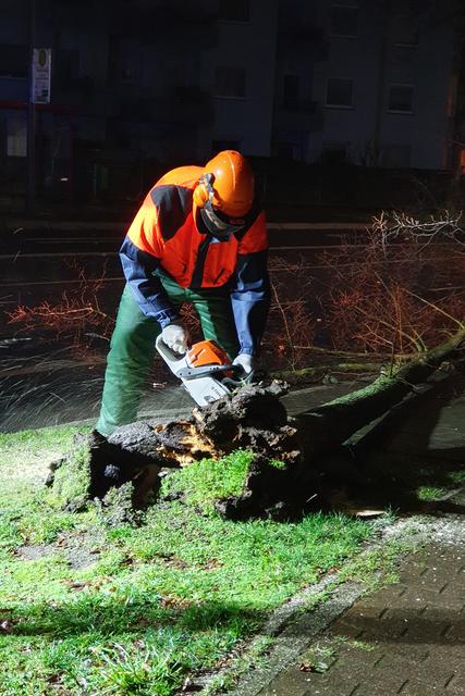 Der Sturm „Sabine“ hat Herten deutlich weniger schlimm getroffen, als befürchtet. Trotzdem hat das Tief einige Schäden verursacht. Die Feuerwehr rückte zu 19 Einsätzen aus, die überwiegend umherfliegende, ungesicherte Gegenstände oder Beschädigungen an Gebäuden betrafen.