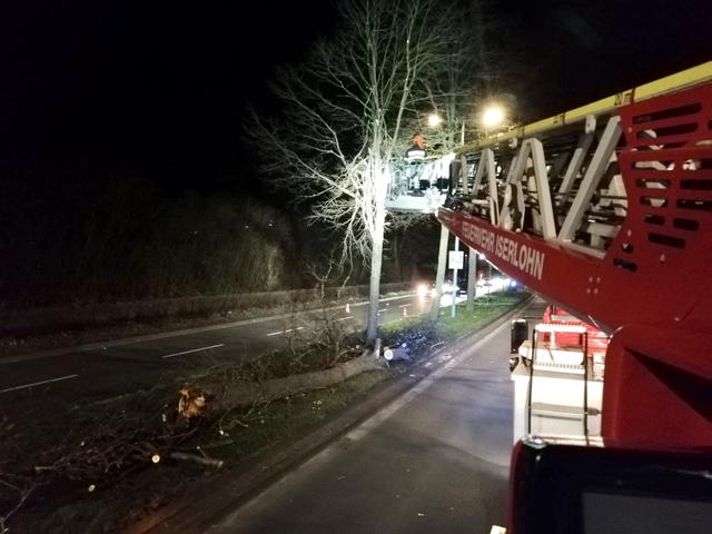 Auch in diesem Fall mussten durch Sturmtief Victoria abgeknickte Äste beseitigt werden.
