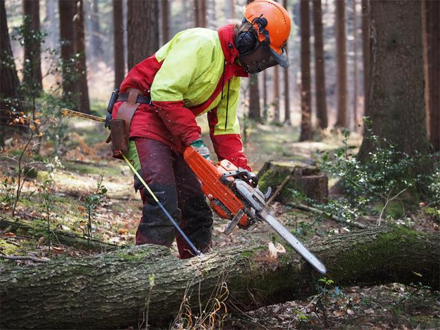 In der Forstarbeit gehen auch Frauen mit schwerem Gerät zu Werke.