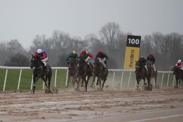 Spannende Rennen trotz widriger Bedingungen: Orihime gewinnt zum Auftakt (Foto Rühl)