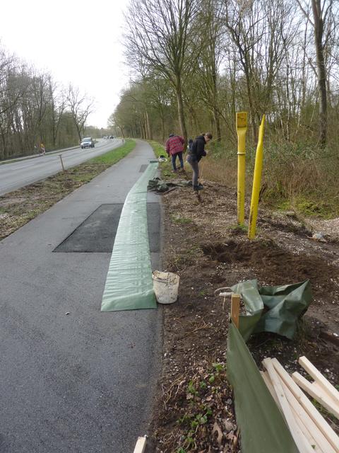 Klaffende Lücke im Amphibienzaun