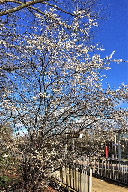 An der U-Bahn-Station Lohausen