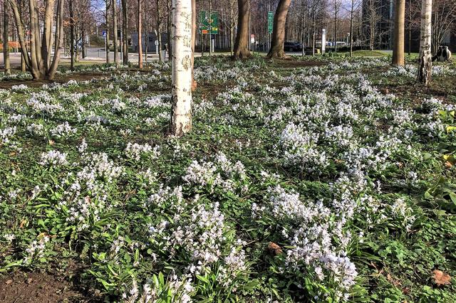 Im Flughafenbereich, Airport City