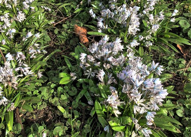 Im Flughafenbereich, Airport City