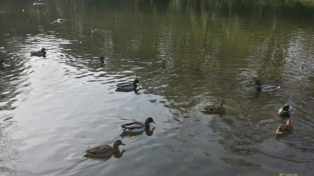 Foto: © UrbanTravelAdventurer by Stefan Fohlen