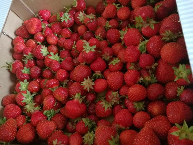 Die Finnischen Erdbeeren sind besonders süß und geschmackvoll.