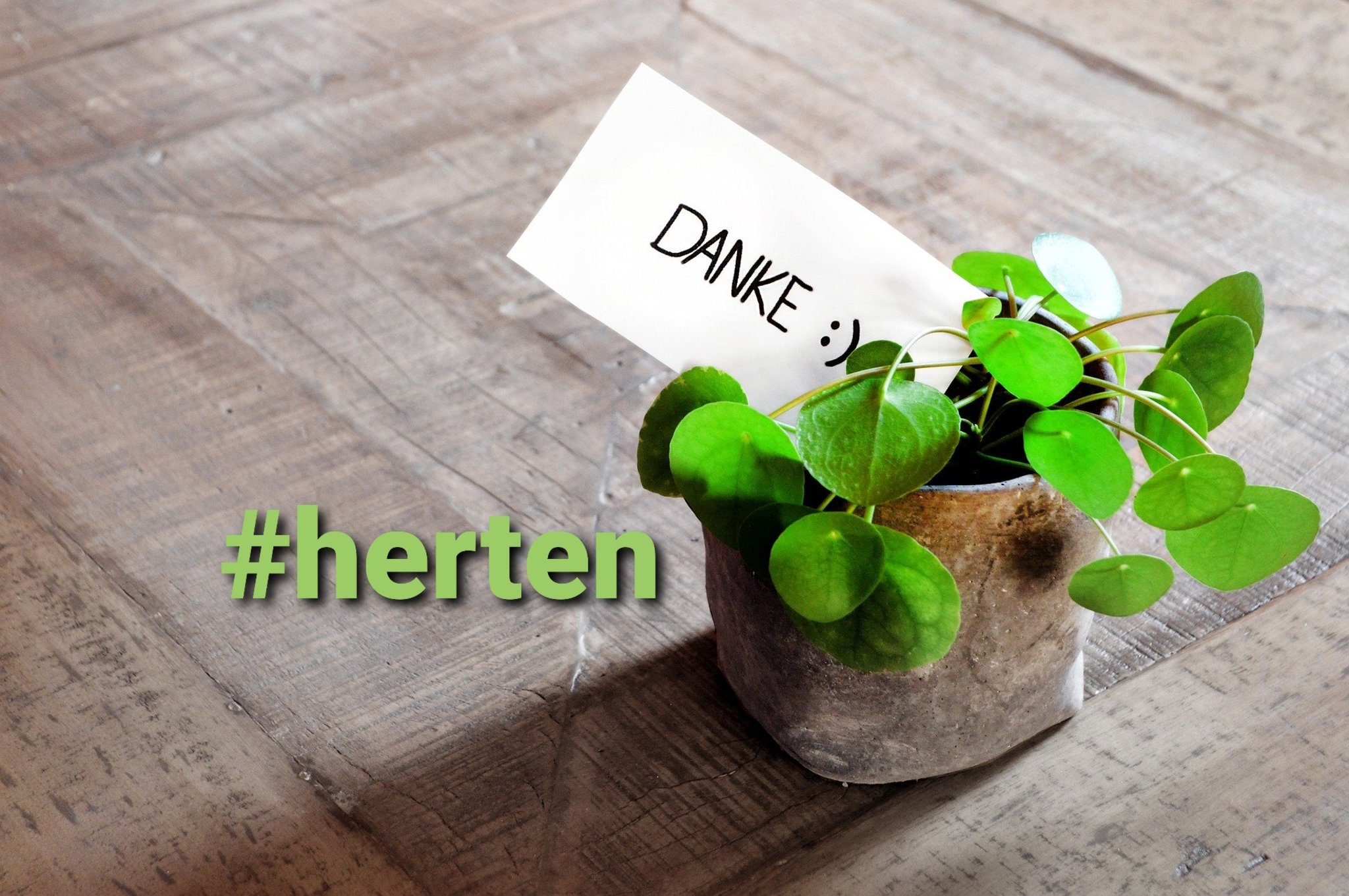 Bitte Diskutieren Und Weiter Erzahlen Danke Mein Wochenruckblick Fur Die Kw11 Im Jahr 4 Herten