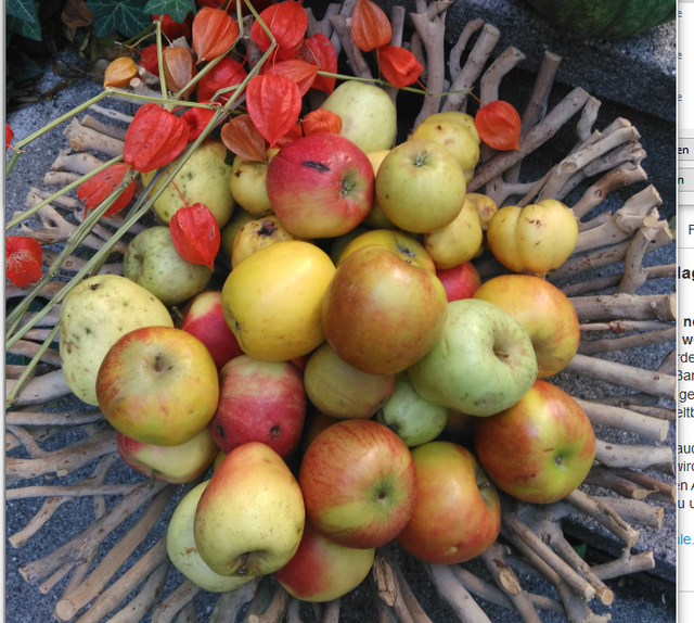 Äpfel, der deutschen liebstes Obst, sind besonders gut zu lagern - am besten gesondert von anderem Obst, an einem kühlen Plätzchen.