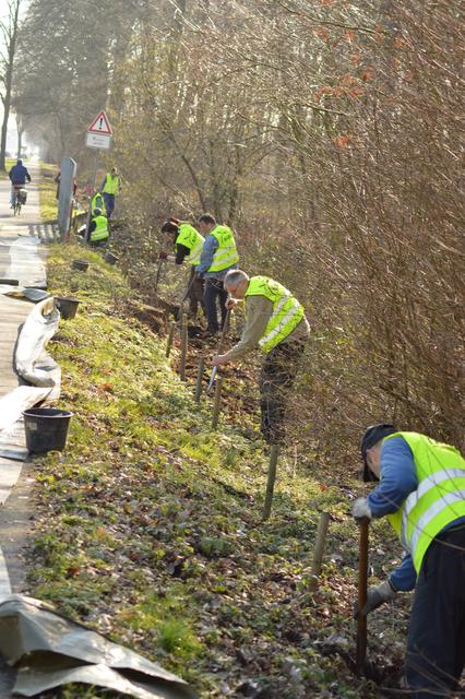 Aufbau des Amphibienfangzaunes an der B8 in Dinslaken/Voerde